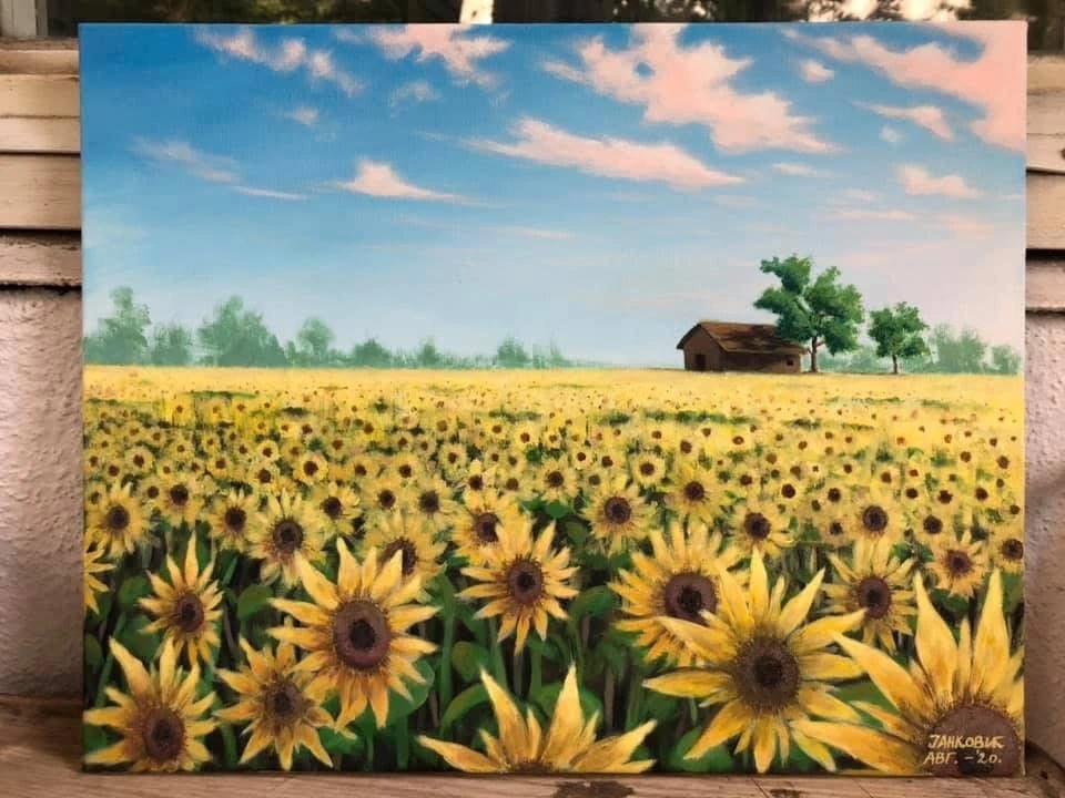 Sunflower Field Barn
