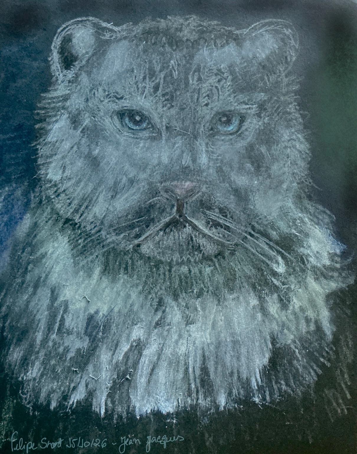 Silver Cat Portrait