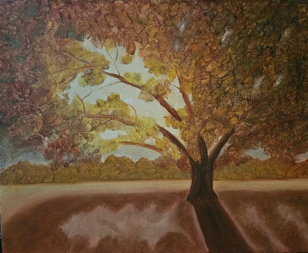 Autumn Tree Shadow