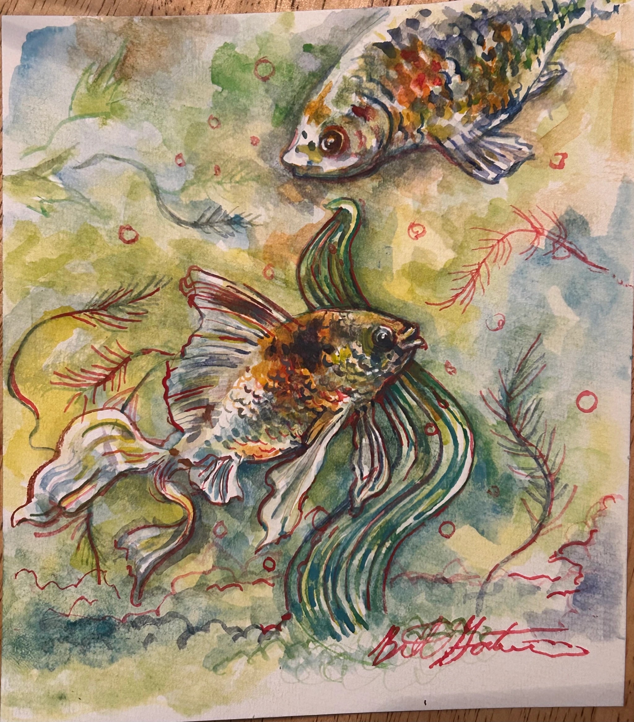 Colorful Underwater Fish