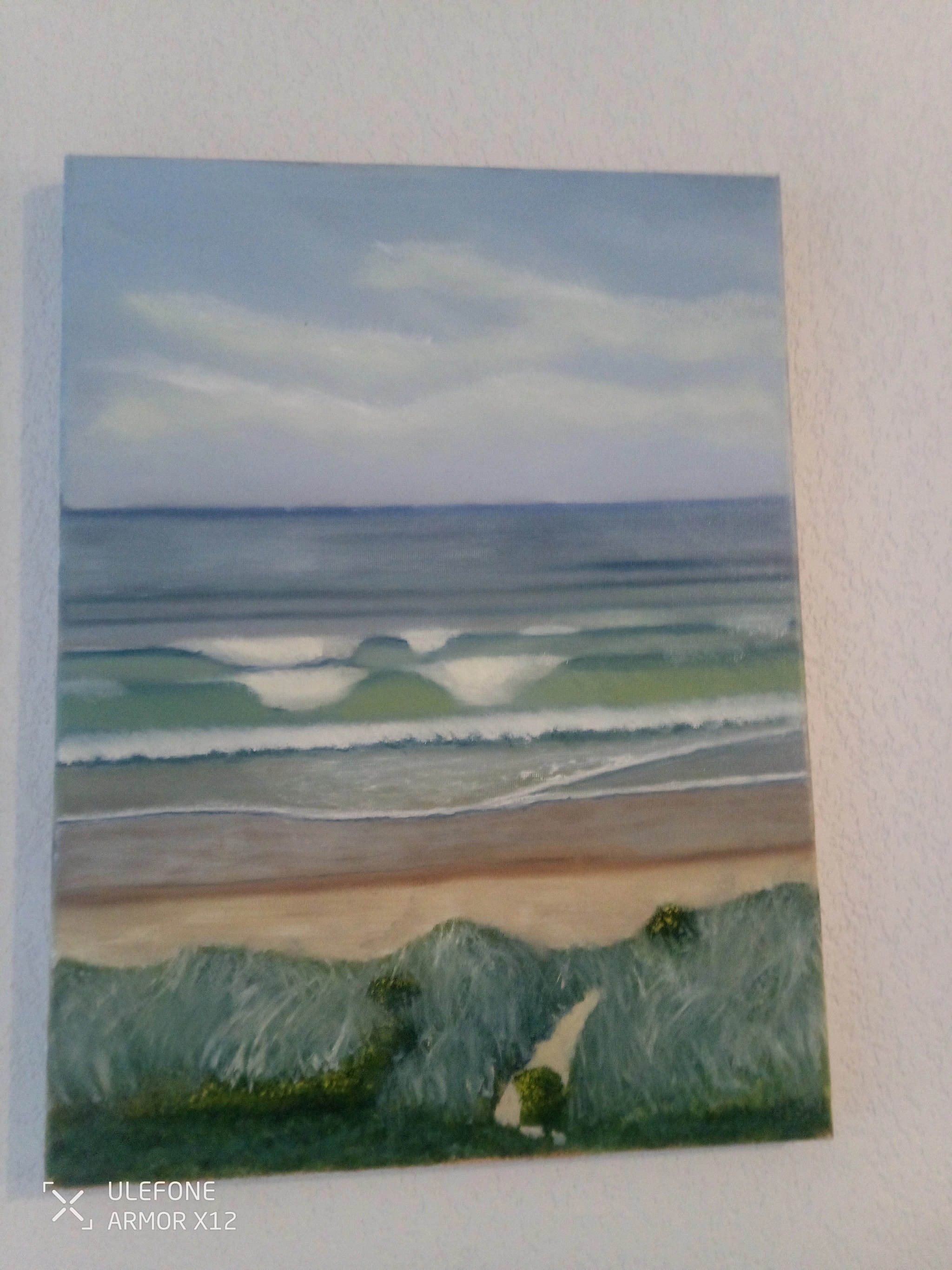 Dune Path Coastline