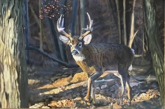 Forest Sentinel
