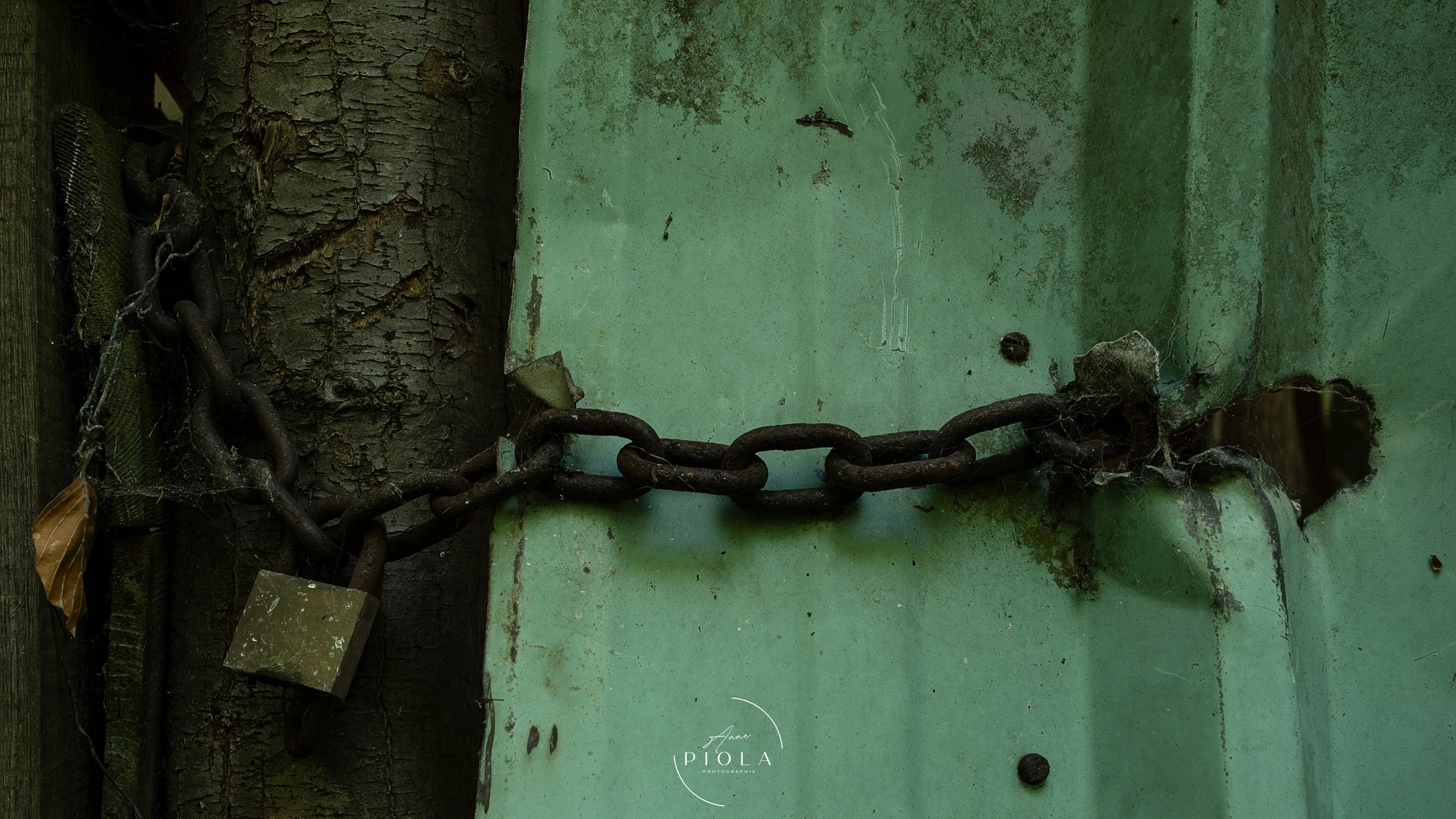 Rusty Chain Lock
