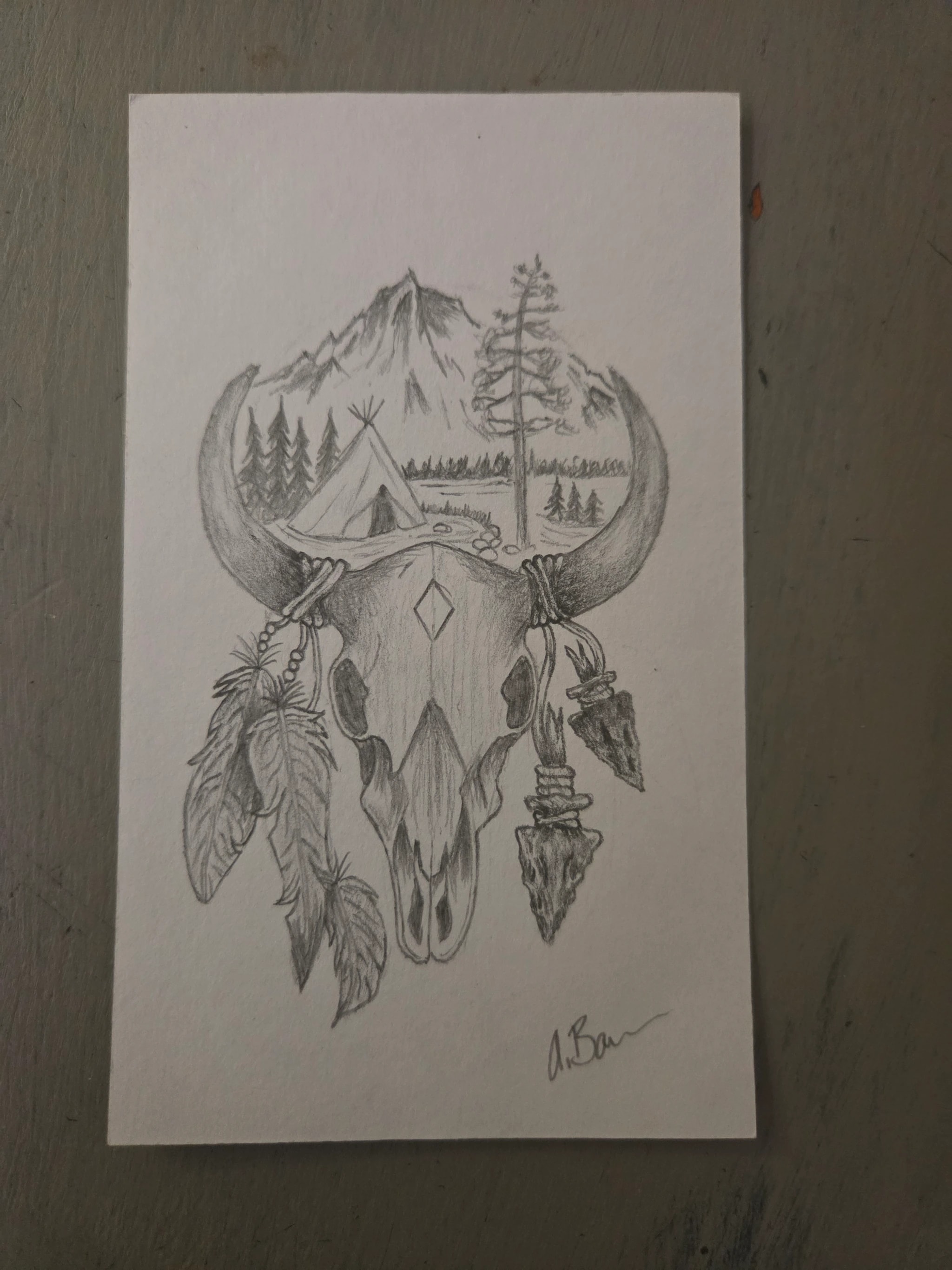 Bison Skull Landscape