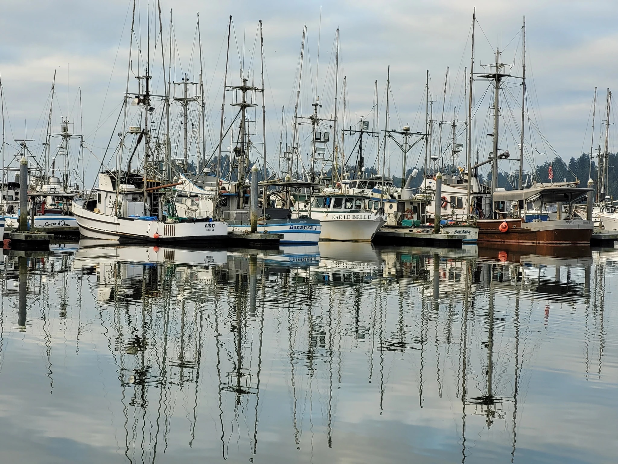 Harbor Reflections Gray 3