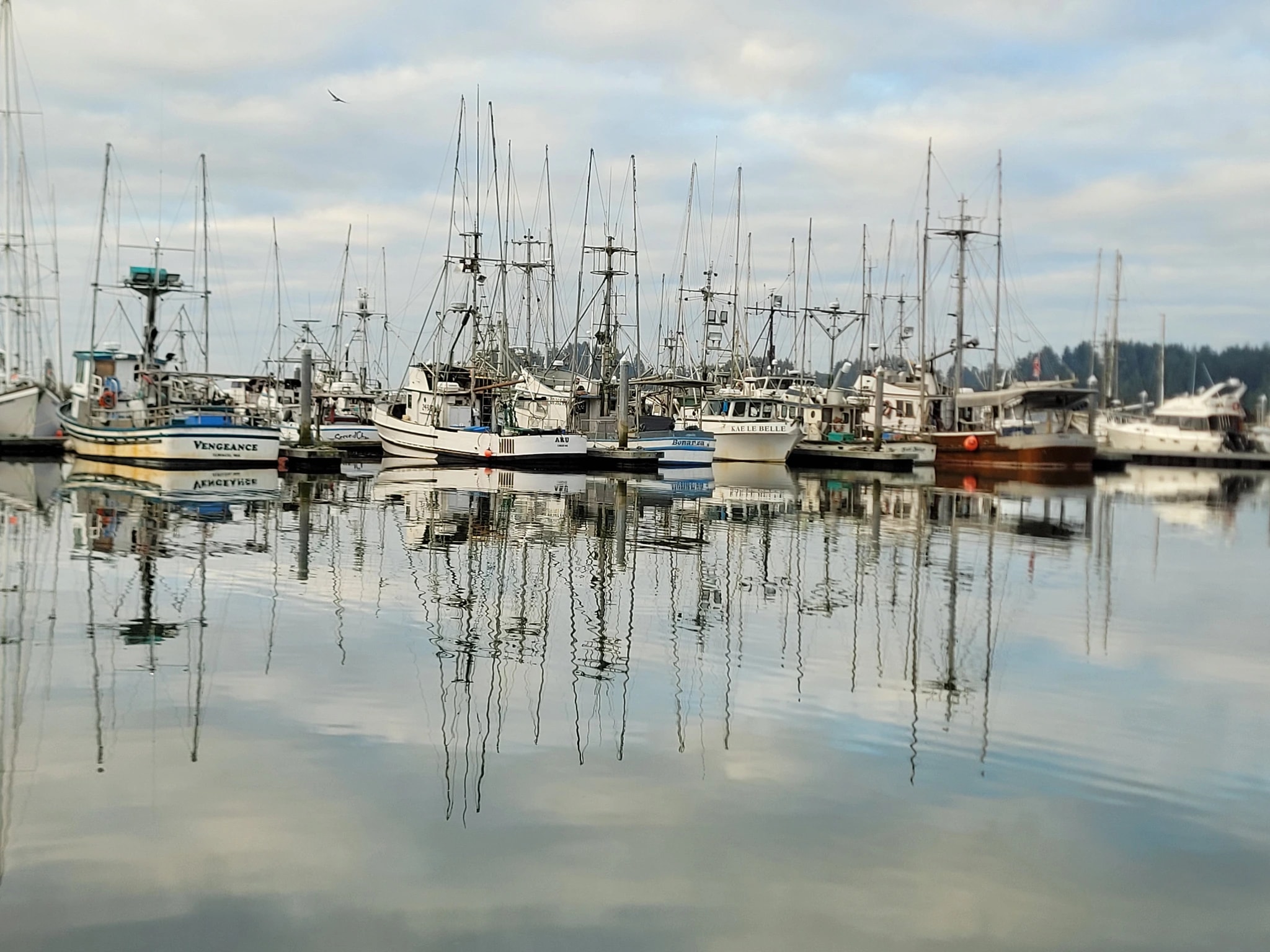 Harbor Fleet Reflections Gray 1