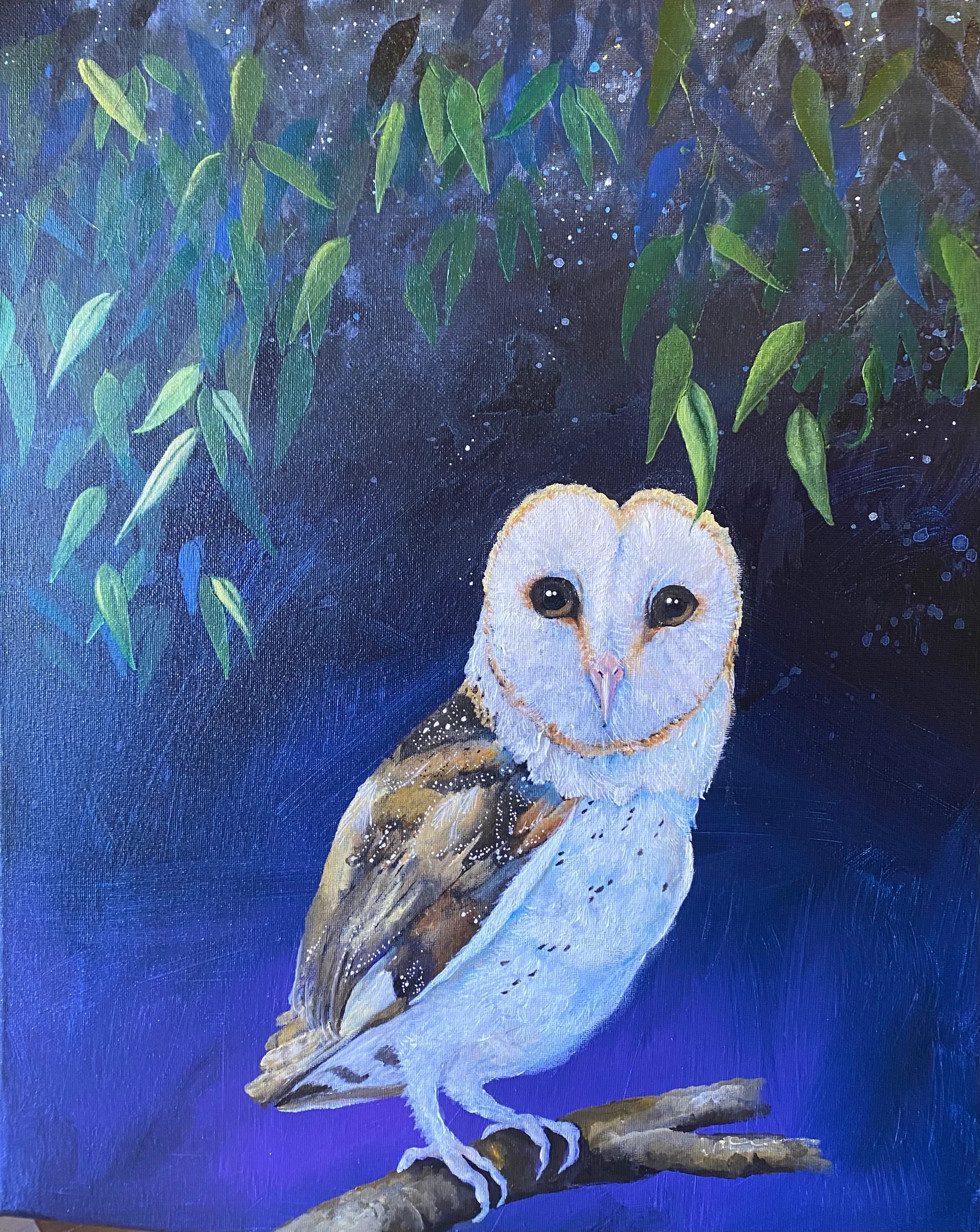 Moonlit Barn Owl