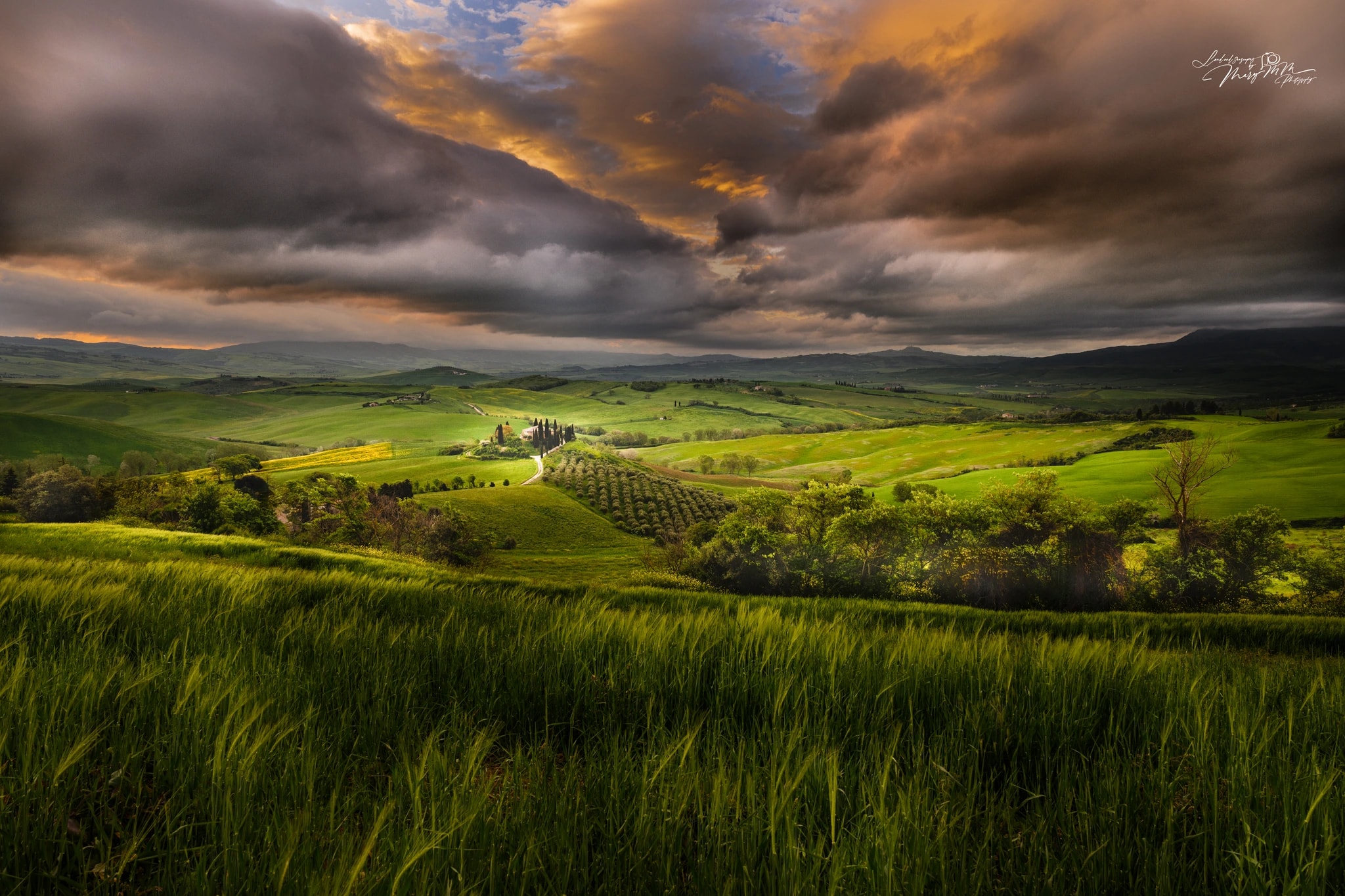 Stormlit Green Hills