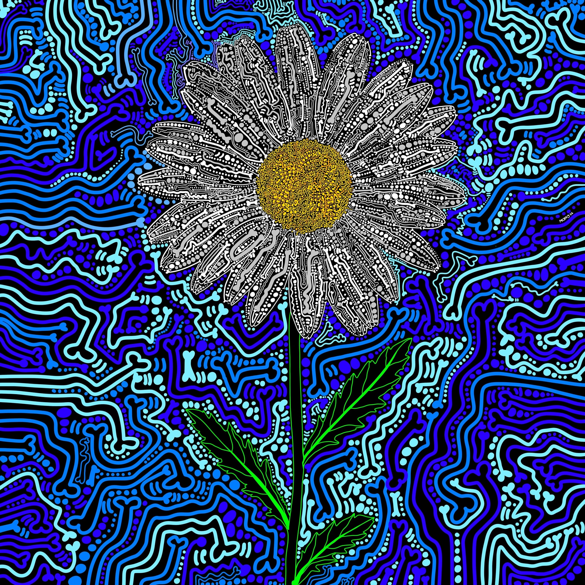 DAISY - TOMORROW’S HARVEST/CITY WALLS GALLERY