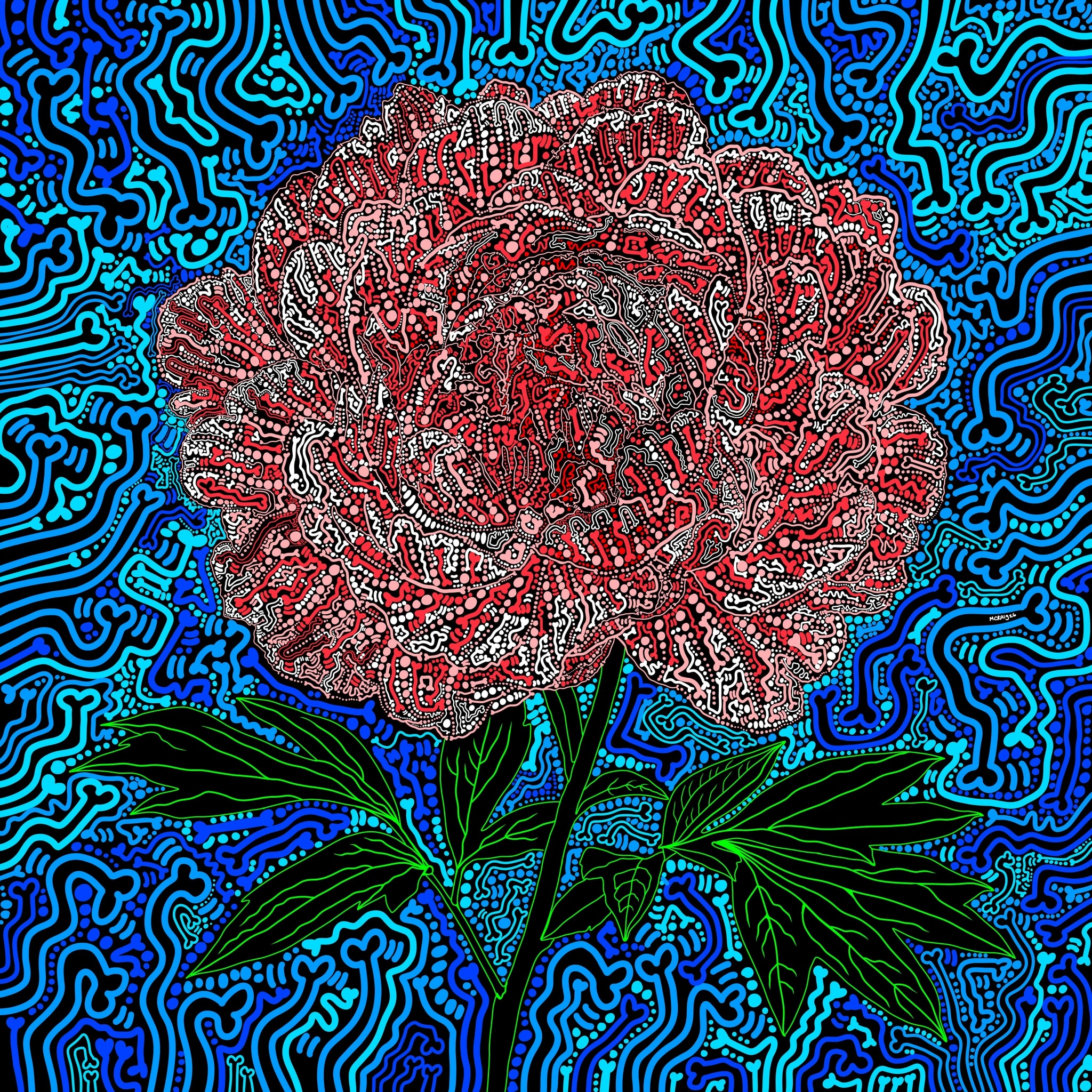 PEONY - TOMORROW’S HARVEST/CITY WALLS GALLERY