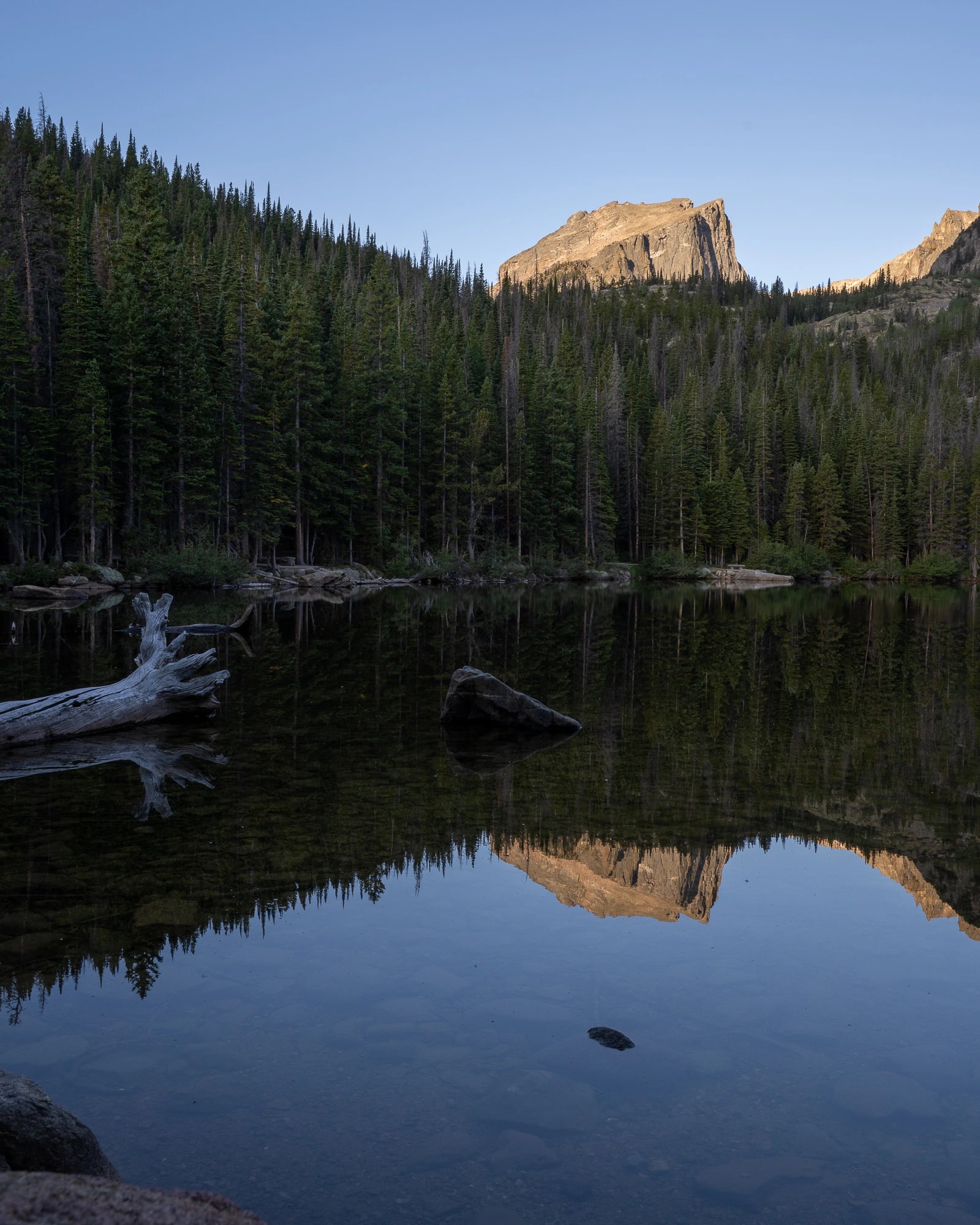 Mount Hallett Reflected on Bear Lake