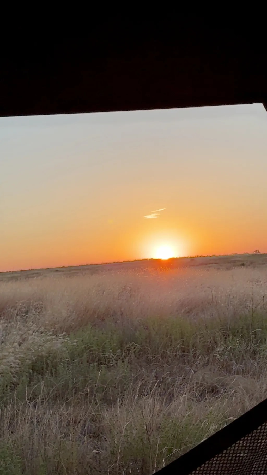 Grassland Sunset