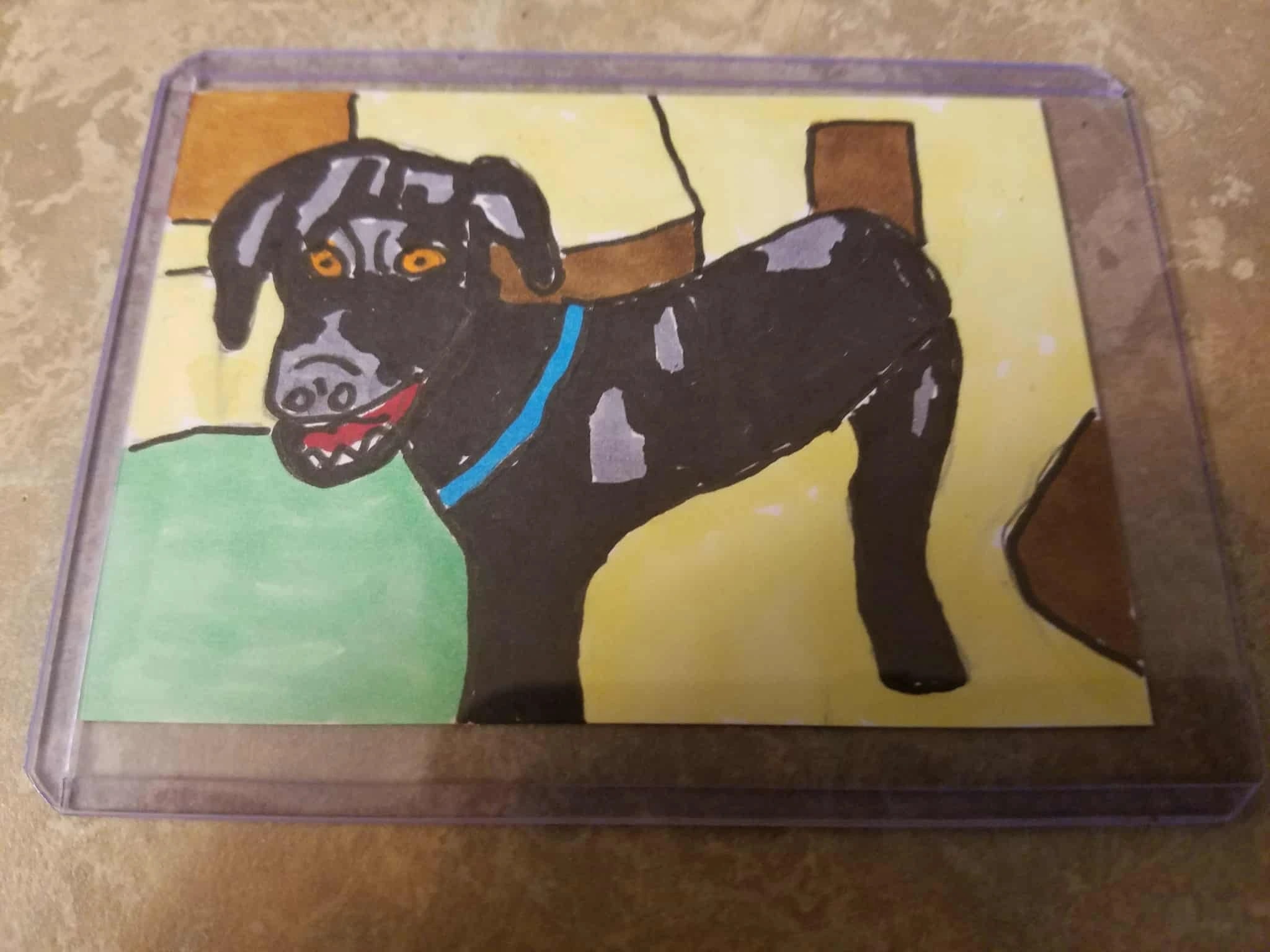 Black Dog Portrait