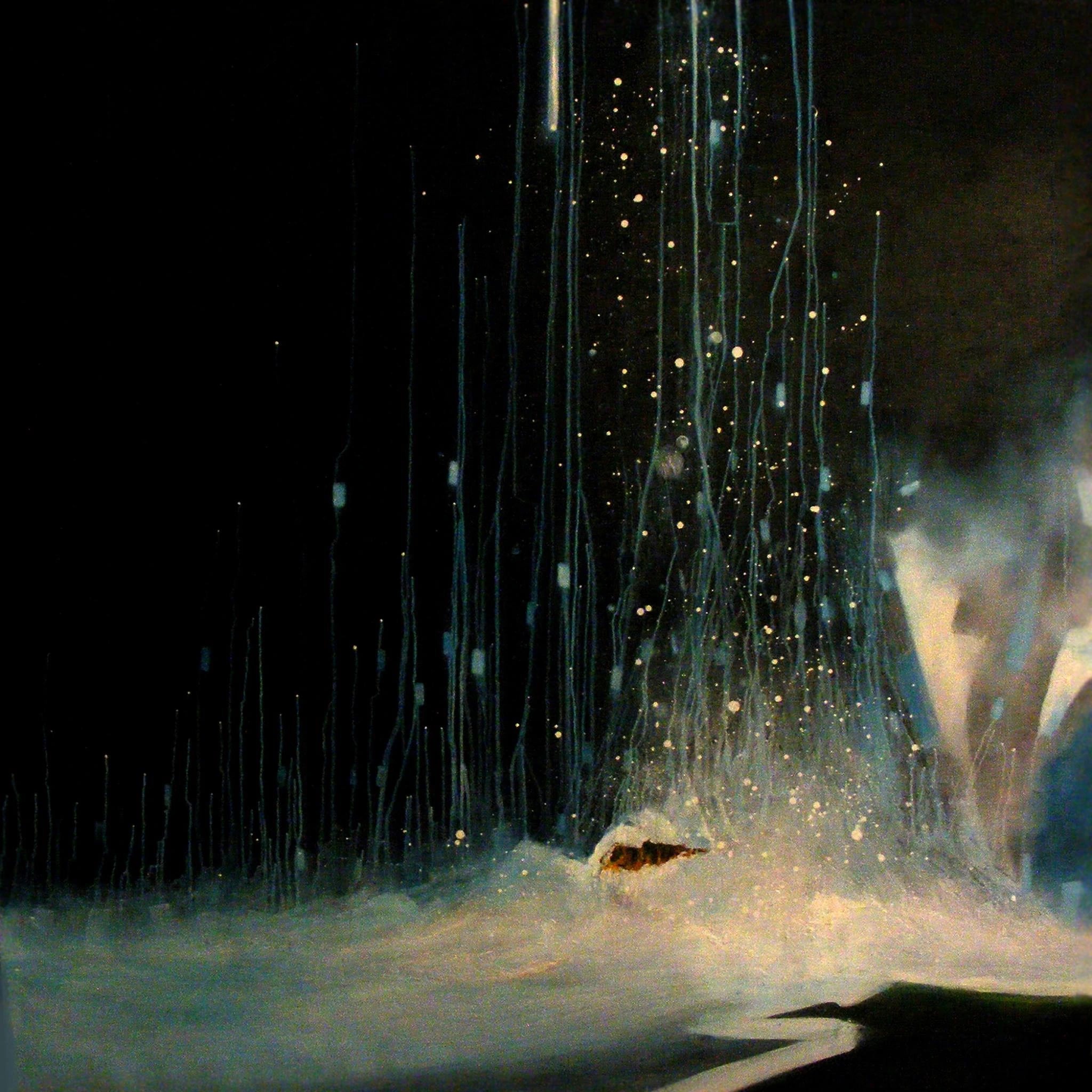 Fish Beneath Falling Light