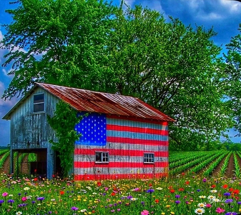 American Cornfield Barn