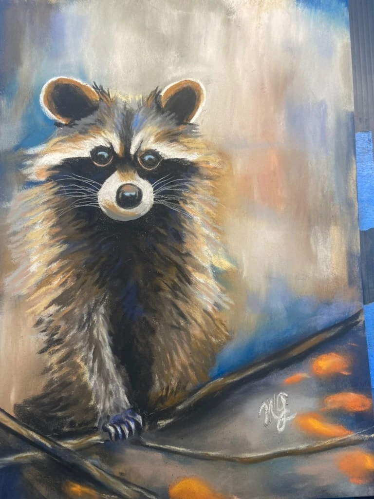Raccoon on Branch