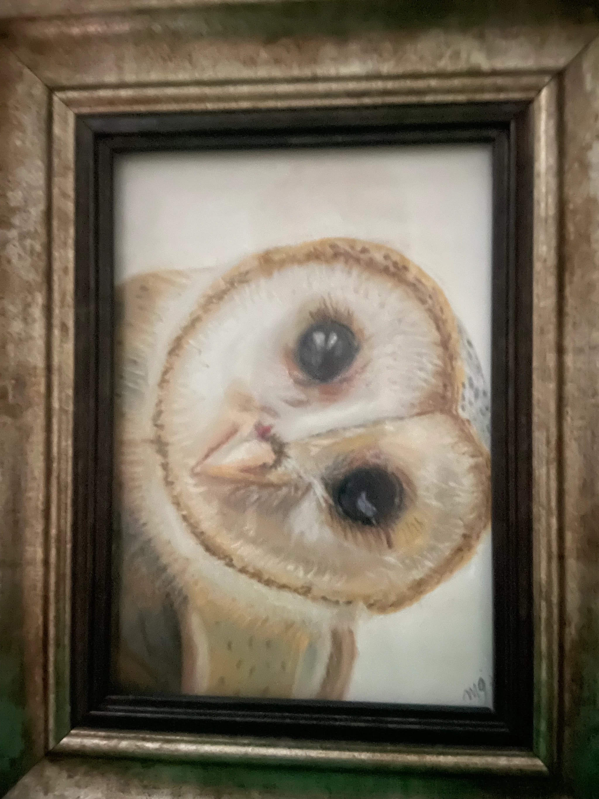 Owl Portrait Pair