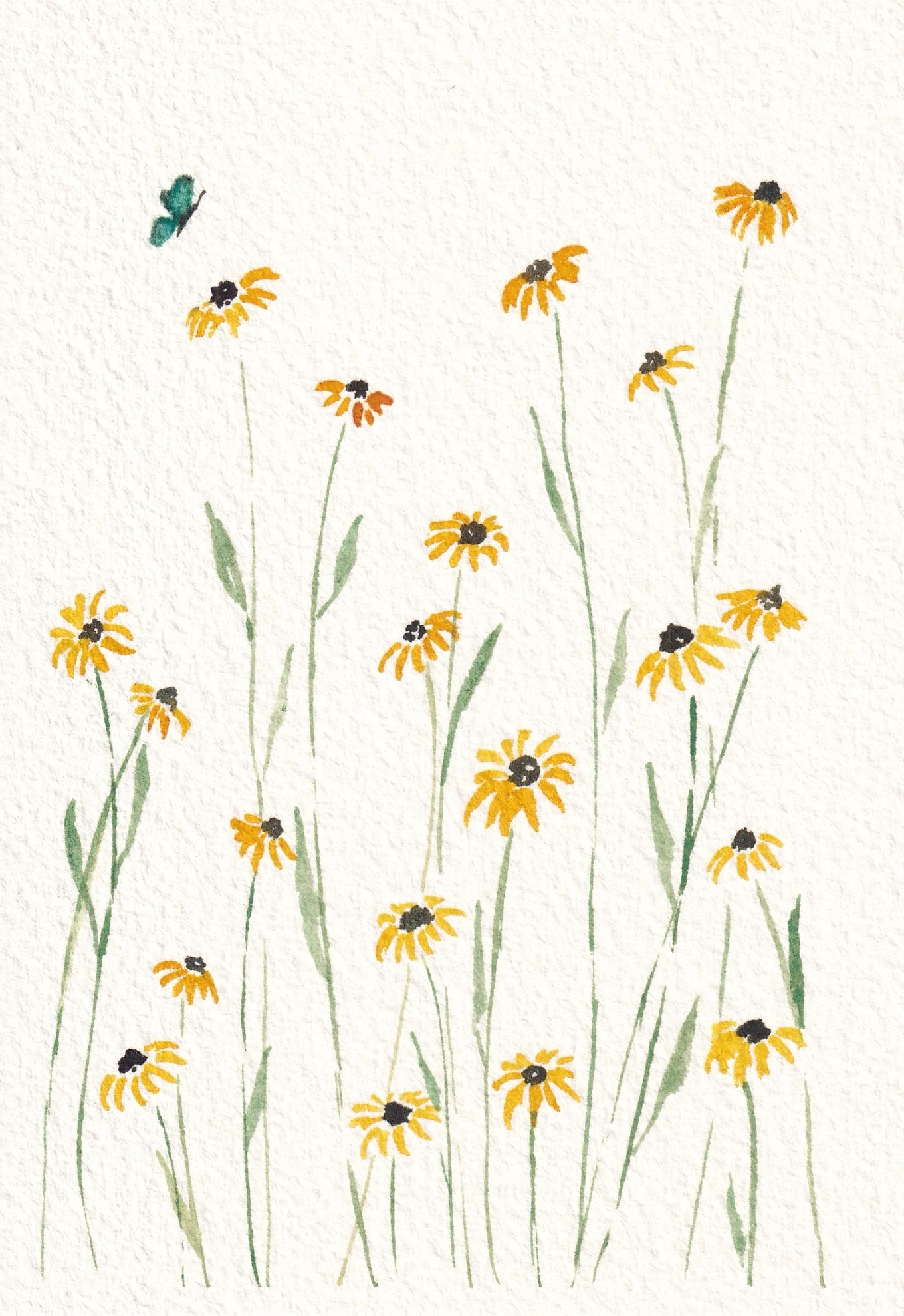 Black Eyed Susan Field