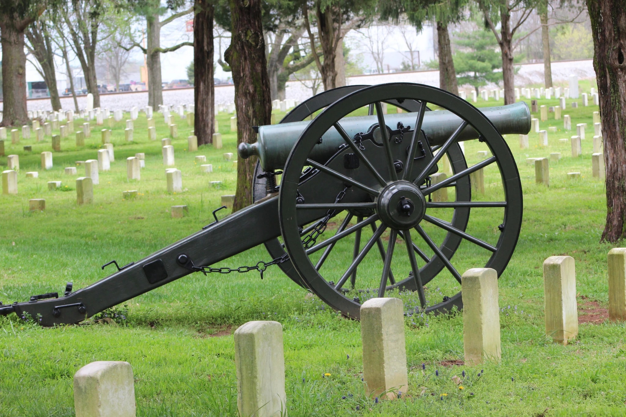 Cannon in the Cemetery