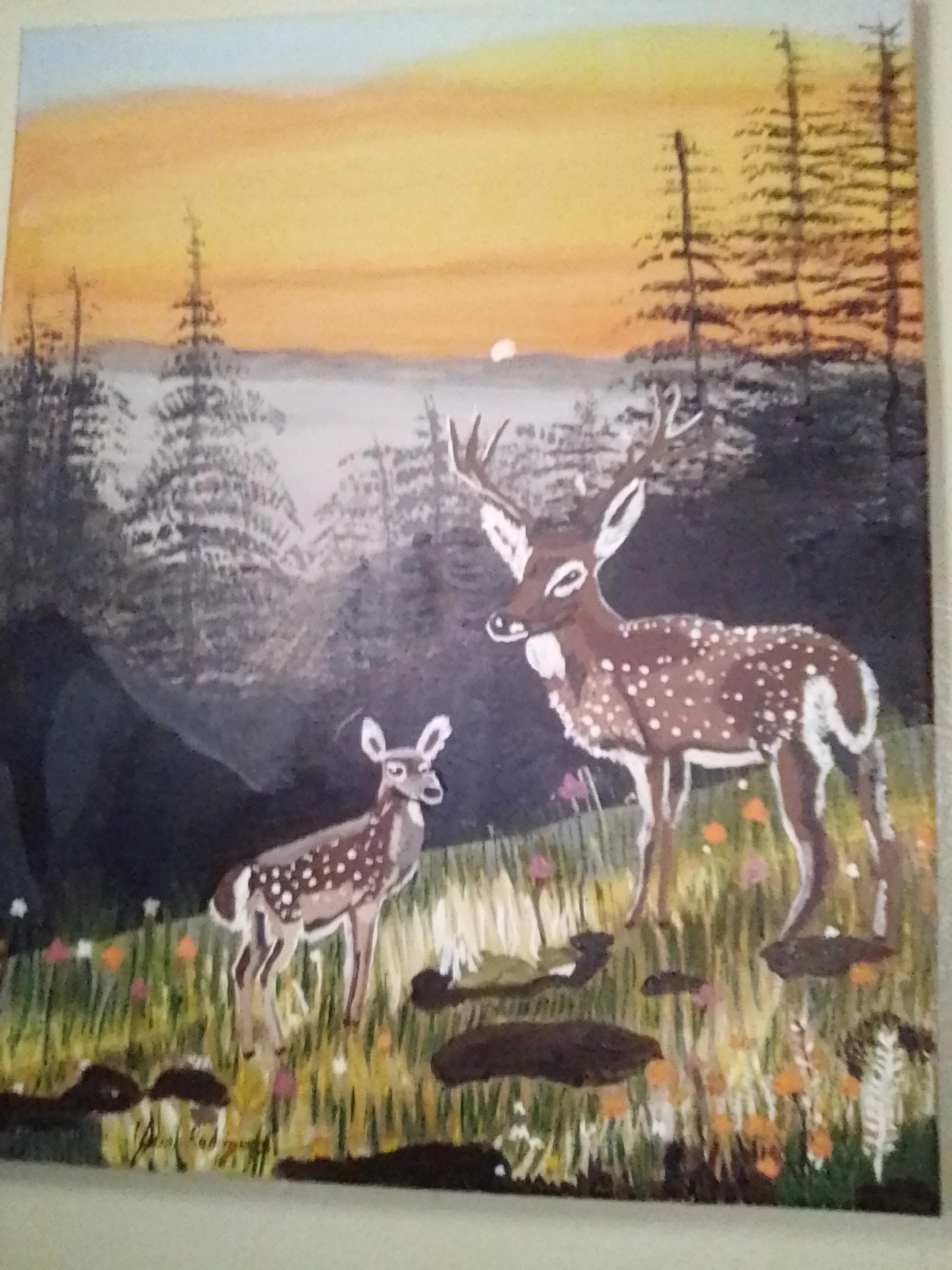 Deer at Sunset