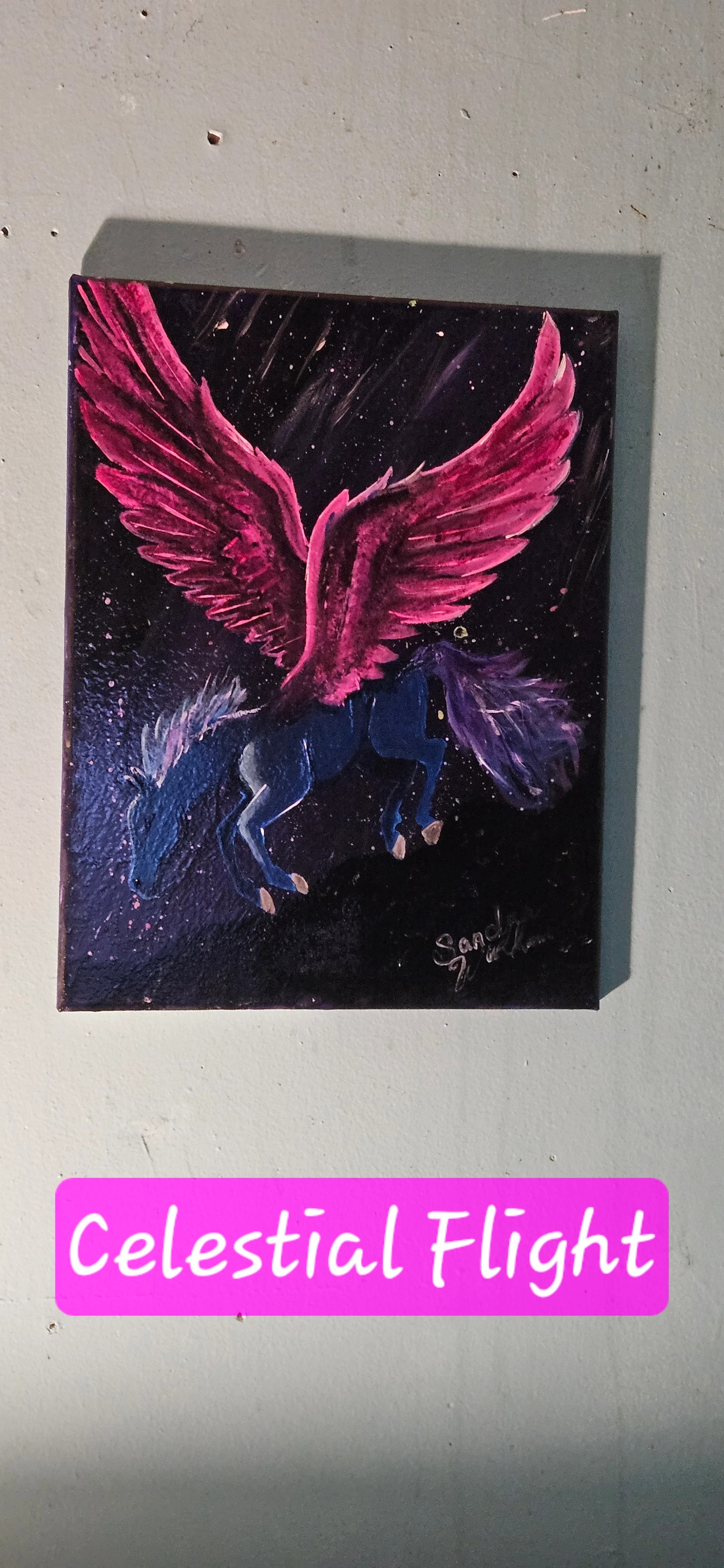 Celestial Flight
