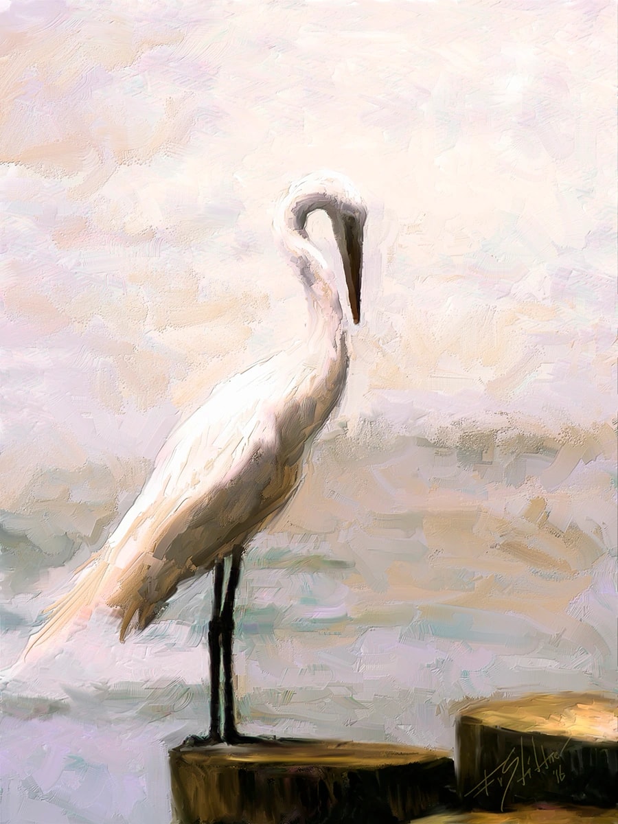 Graceful Egret on Piling