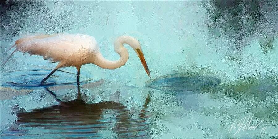 Egret Study
