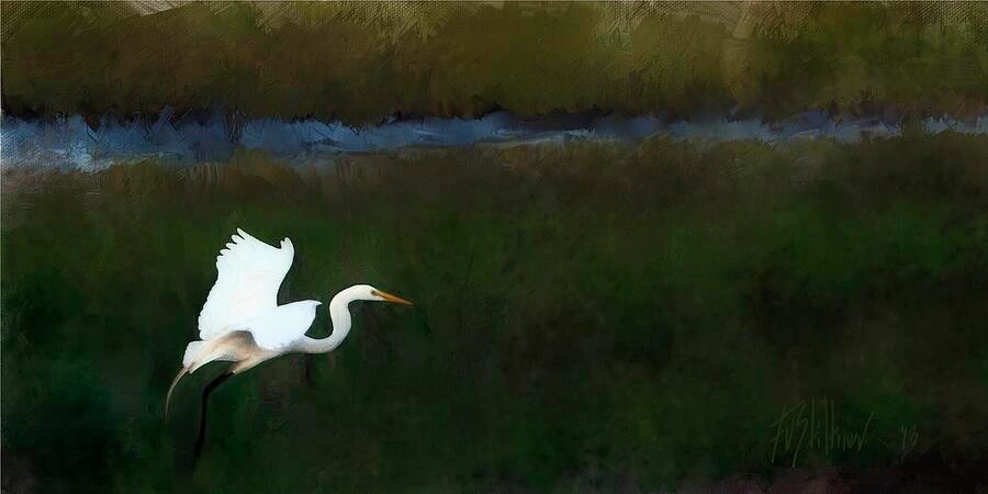 Elegant Landing