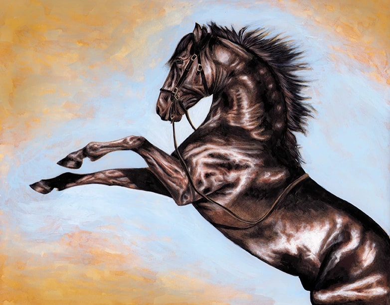 Horse Rearing