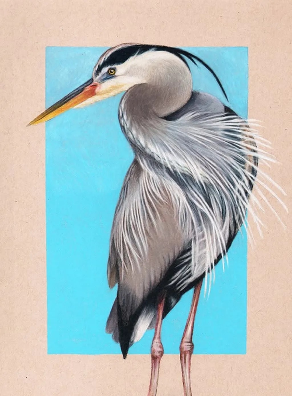 Great Blue Heron