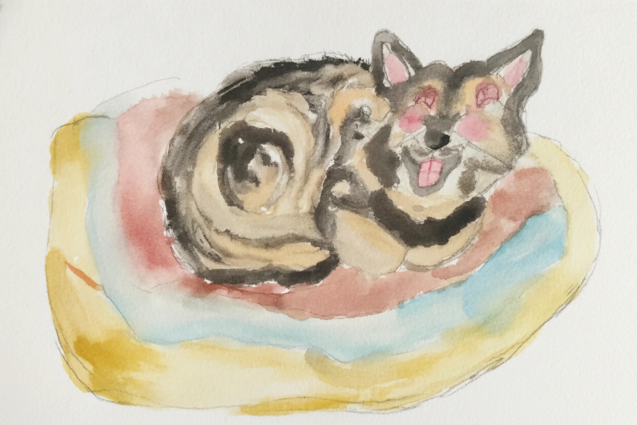Cushion Cuddle dog