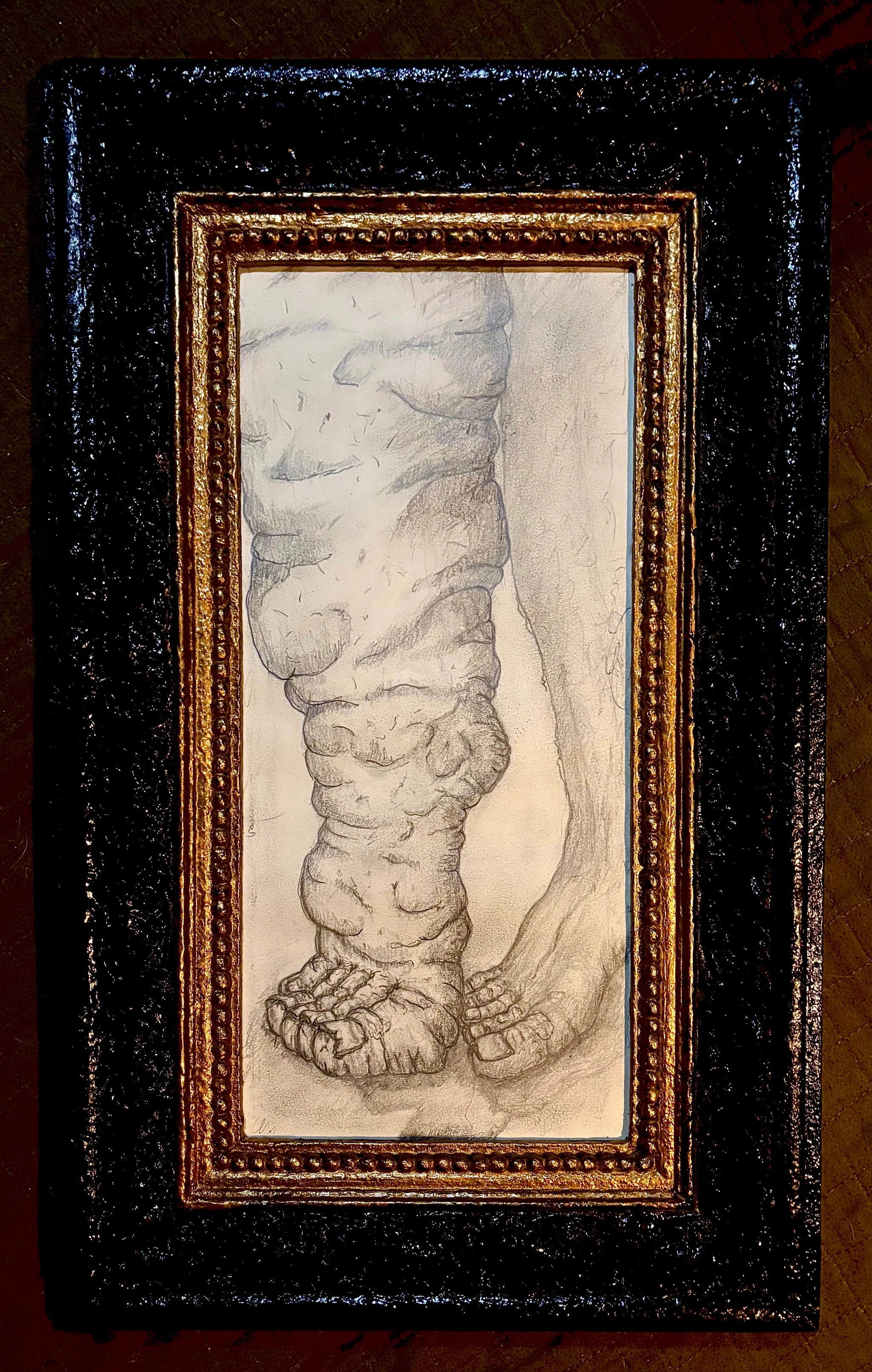 Leg and Foot Study