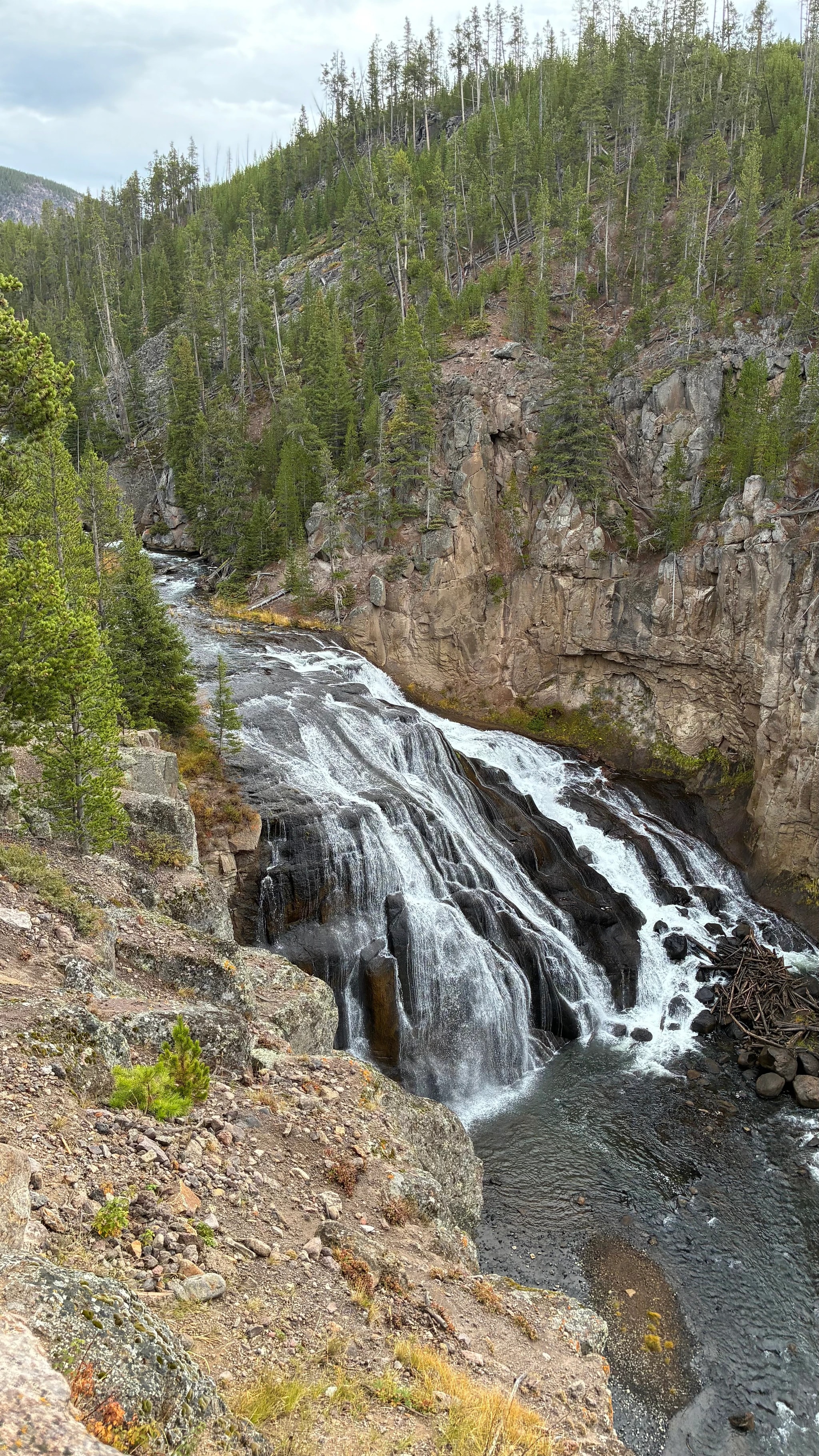 Forest Gorge Falls