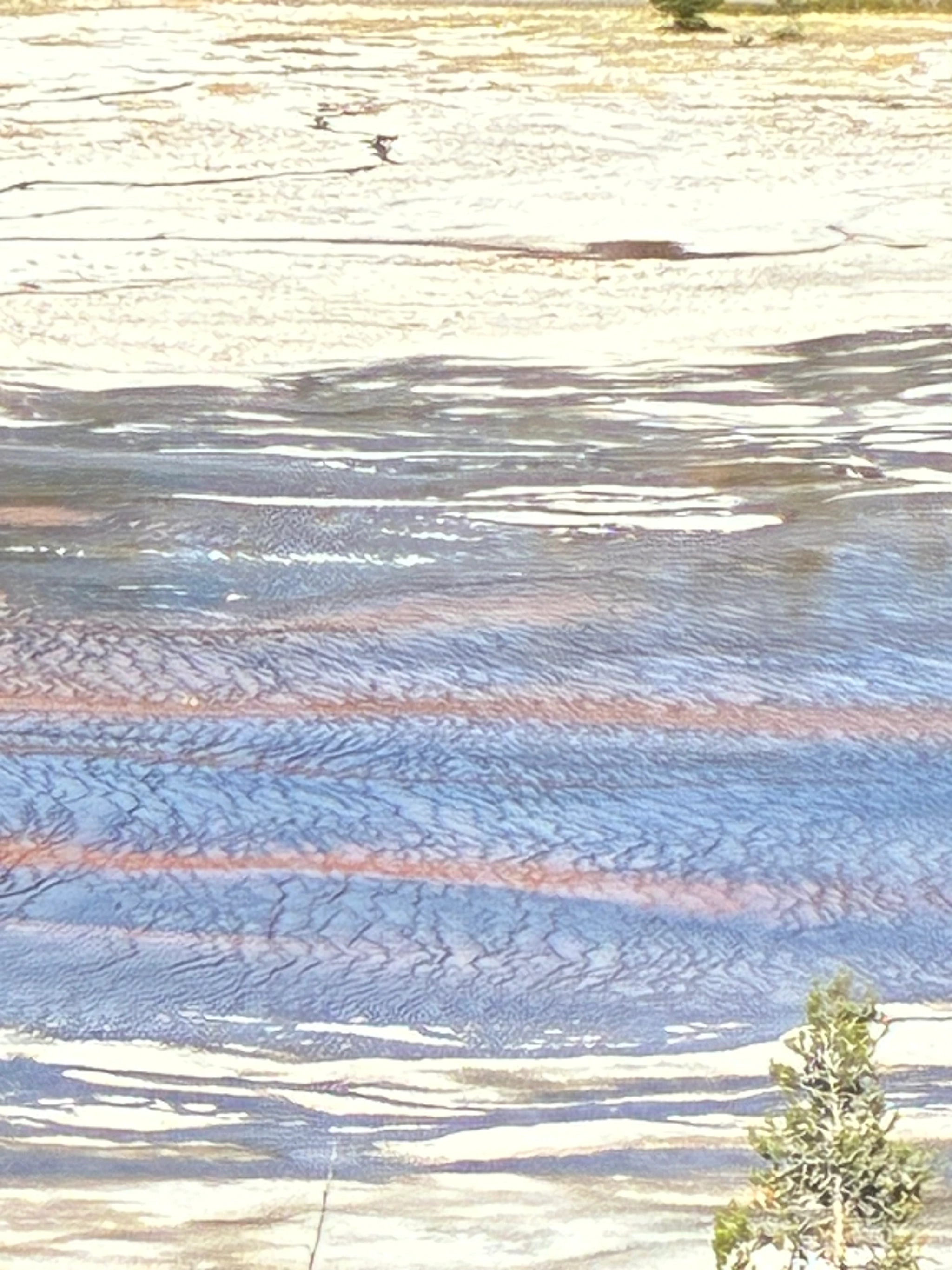Tidal Strata