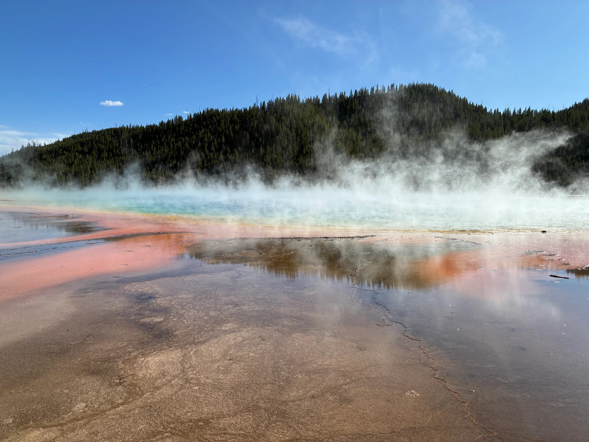 Prismatic Spring Steam
