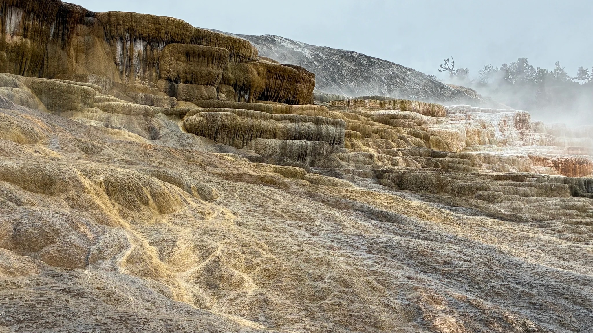 Steaming Mineral Terraces
