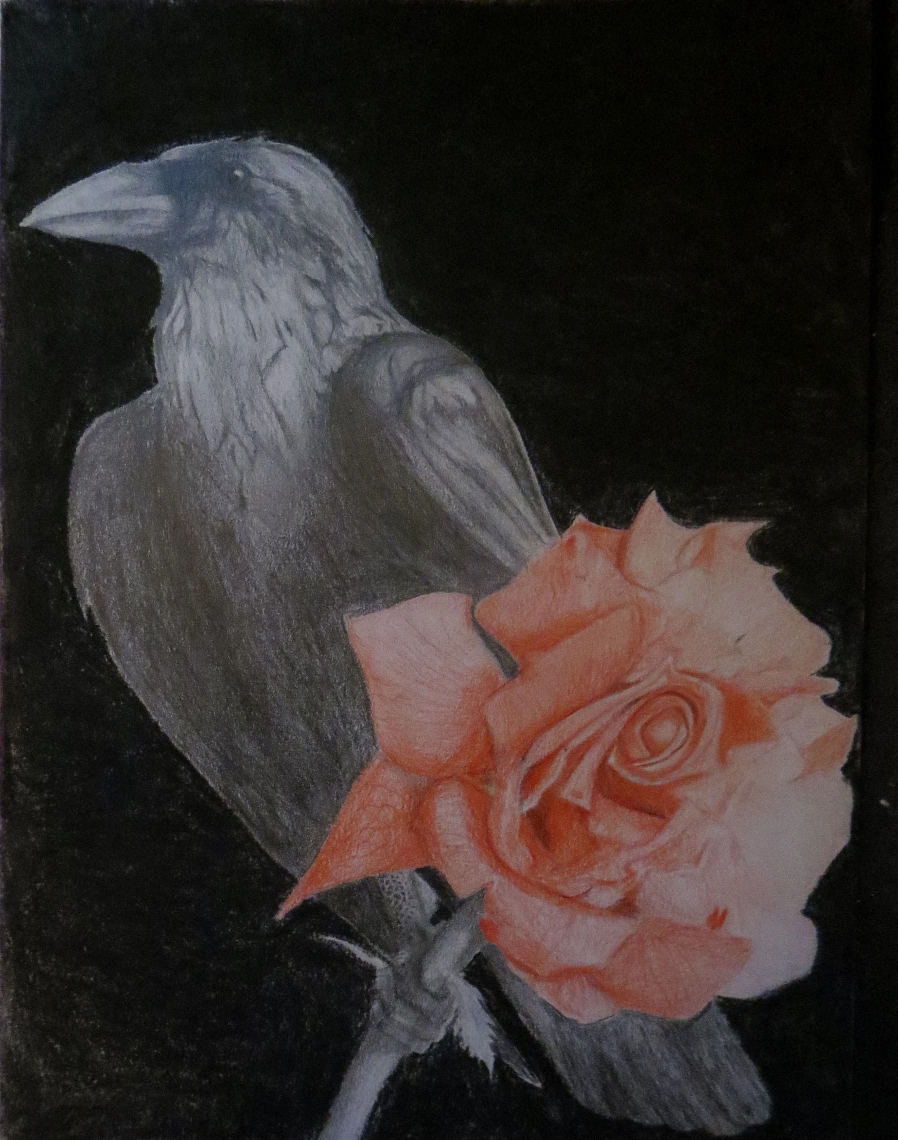 Raven and Rose