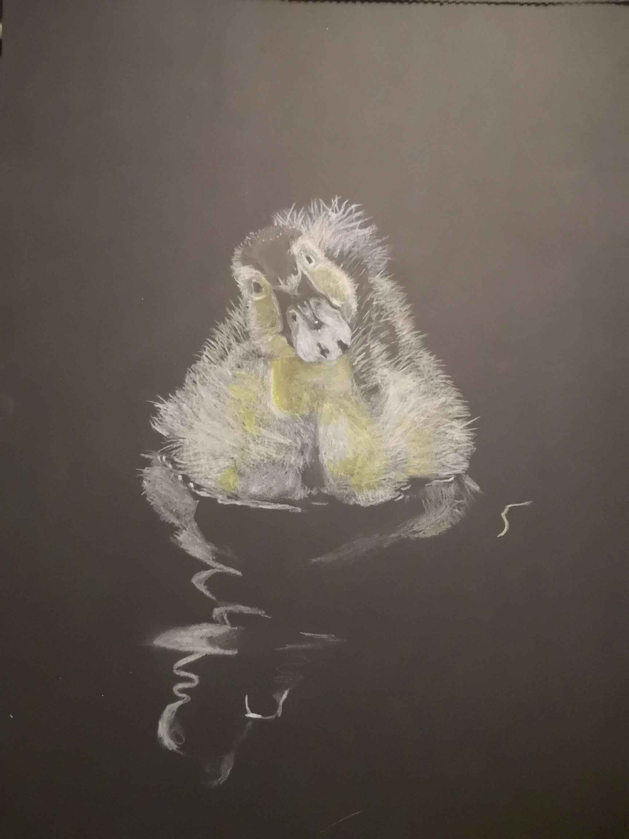 Duckling