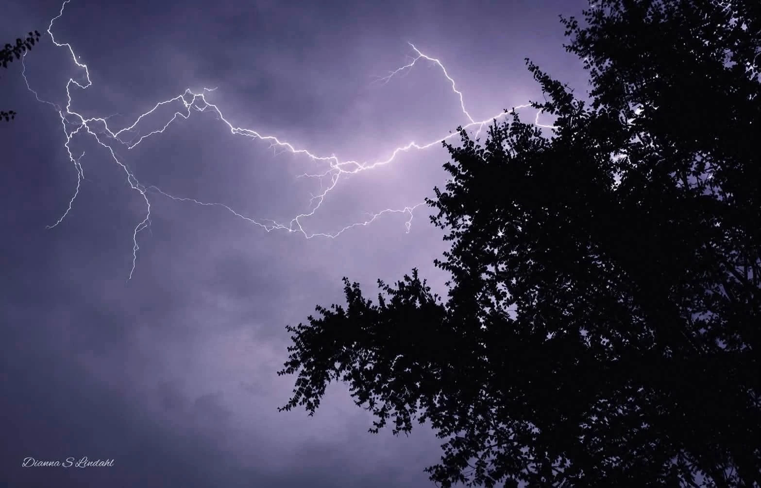 Lightning Through the Trees