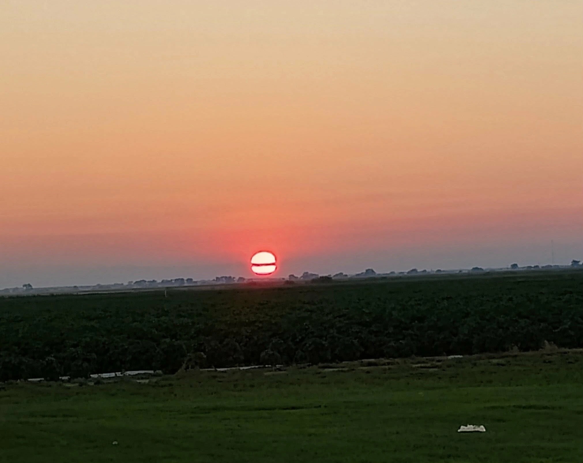 Sunset Over Fields