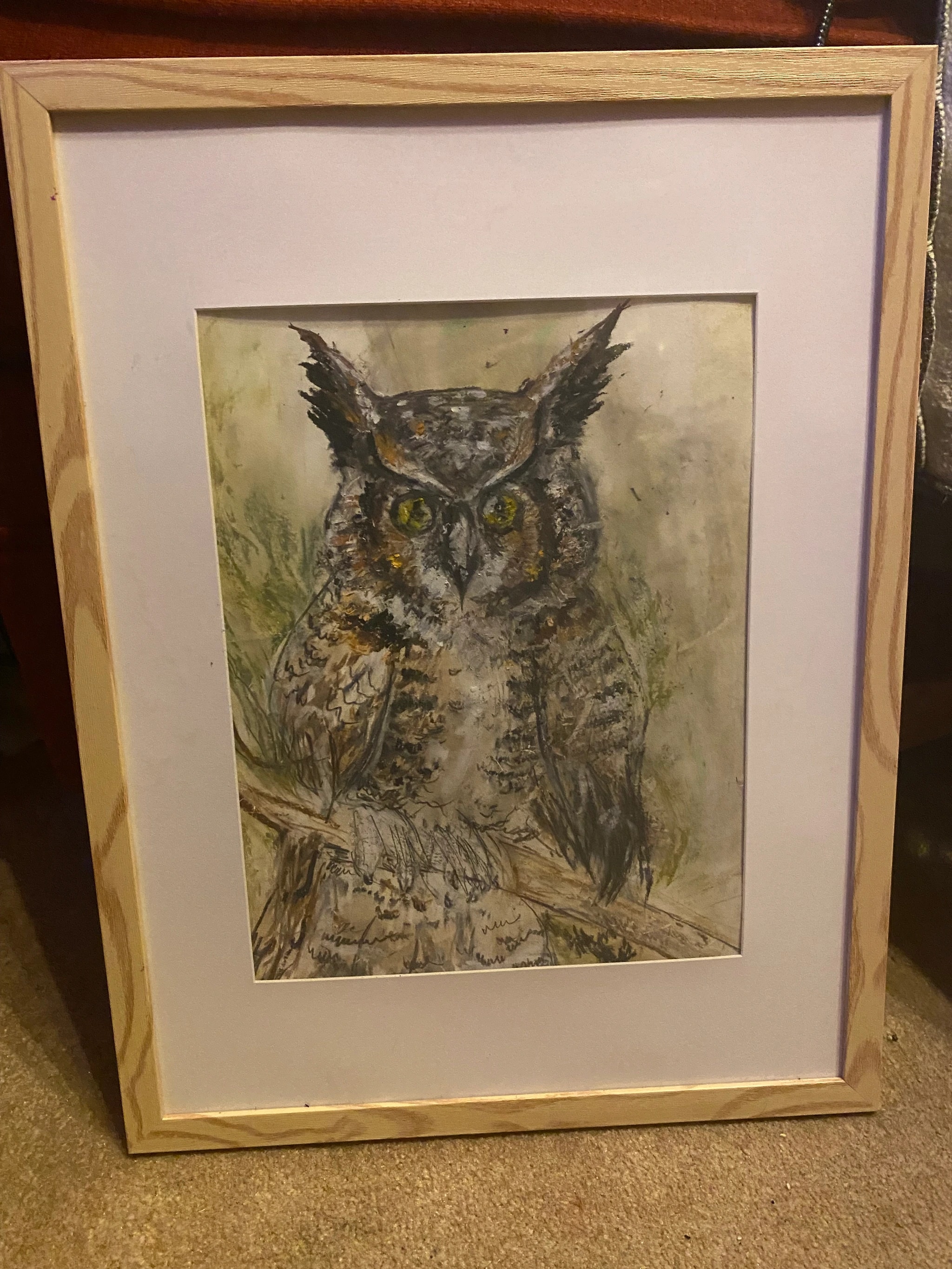 Owl on a Branch