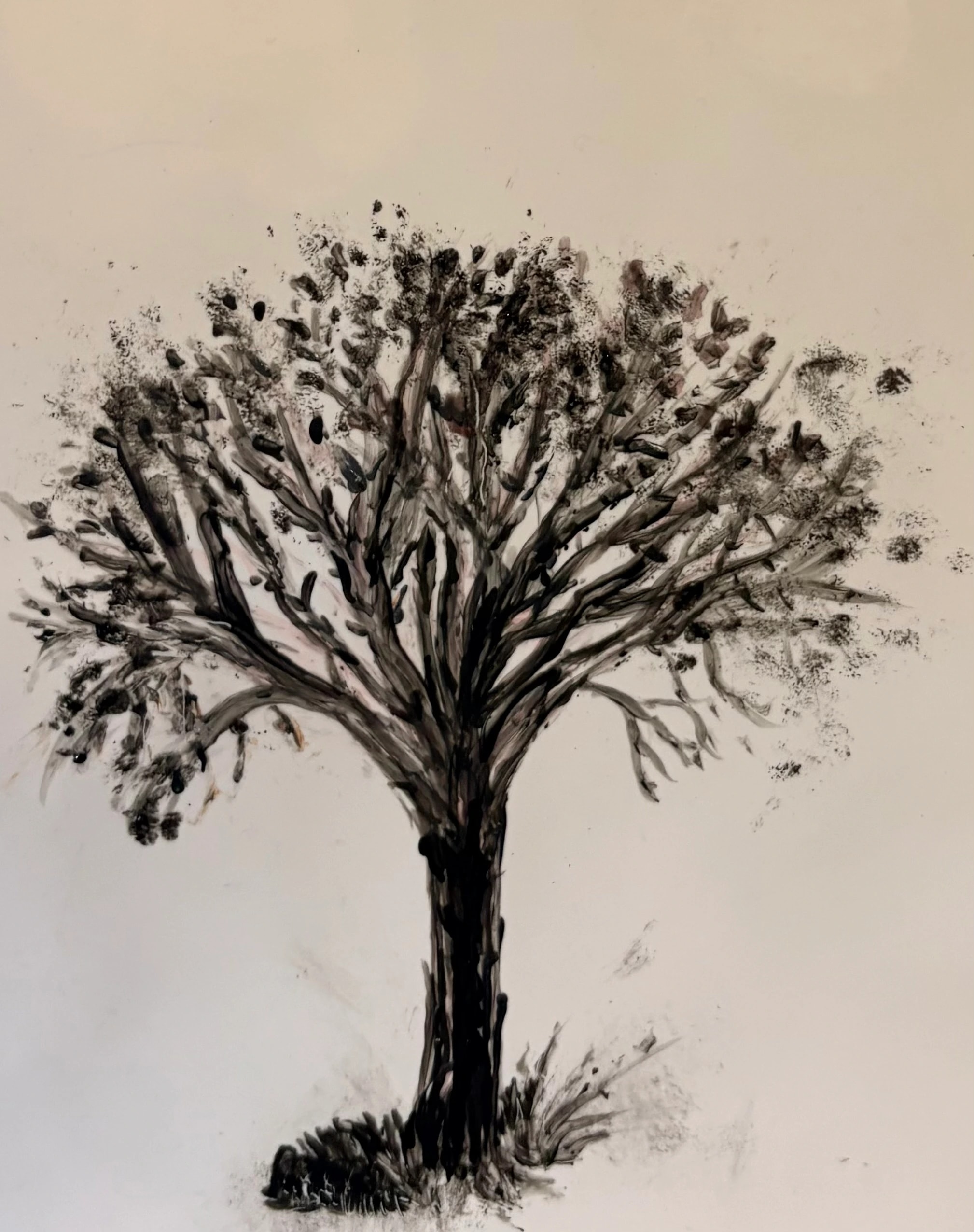 Charcoal Tree Study