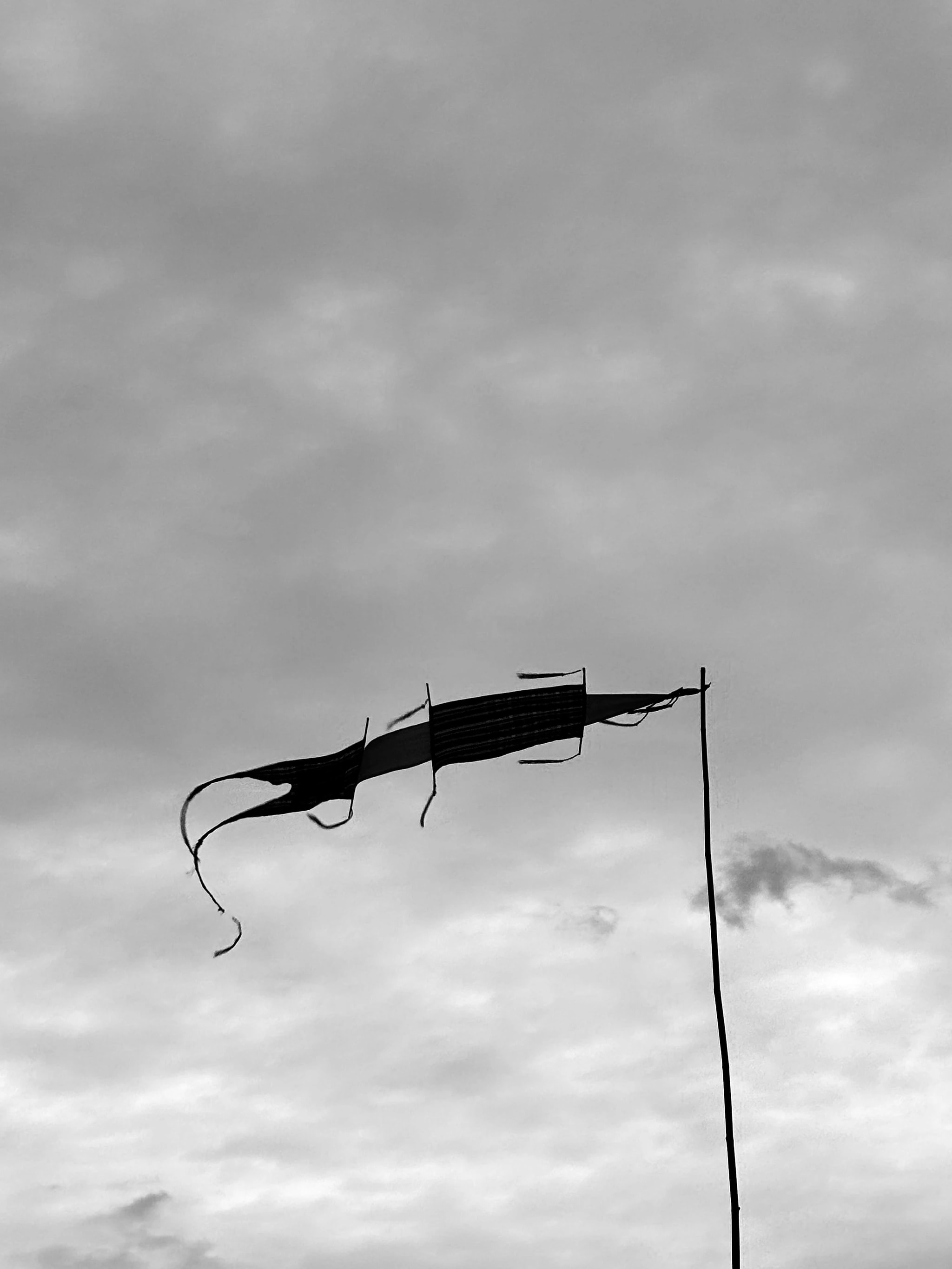 Windworn Banner