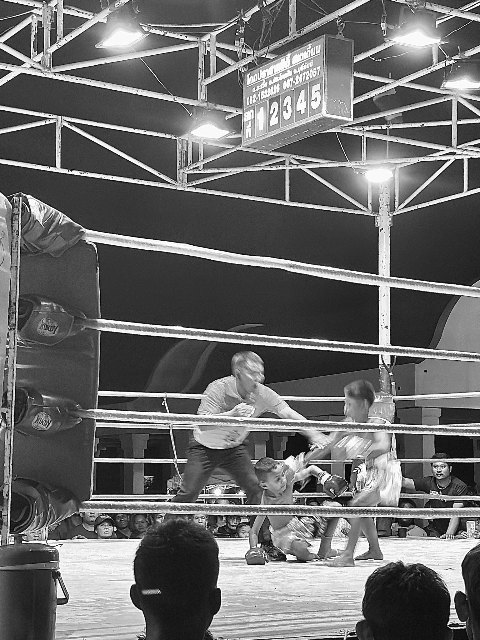 Ringside Count