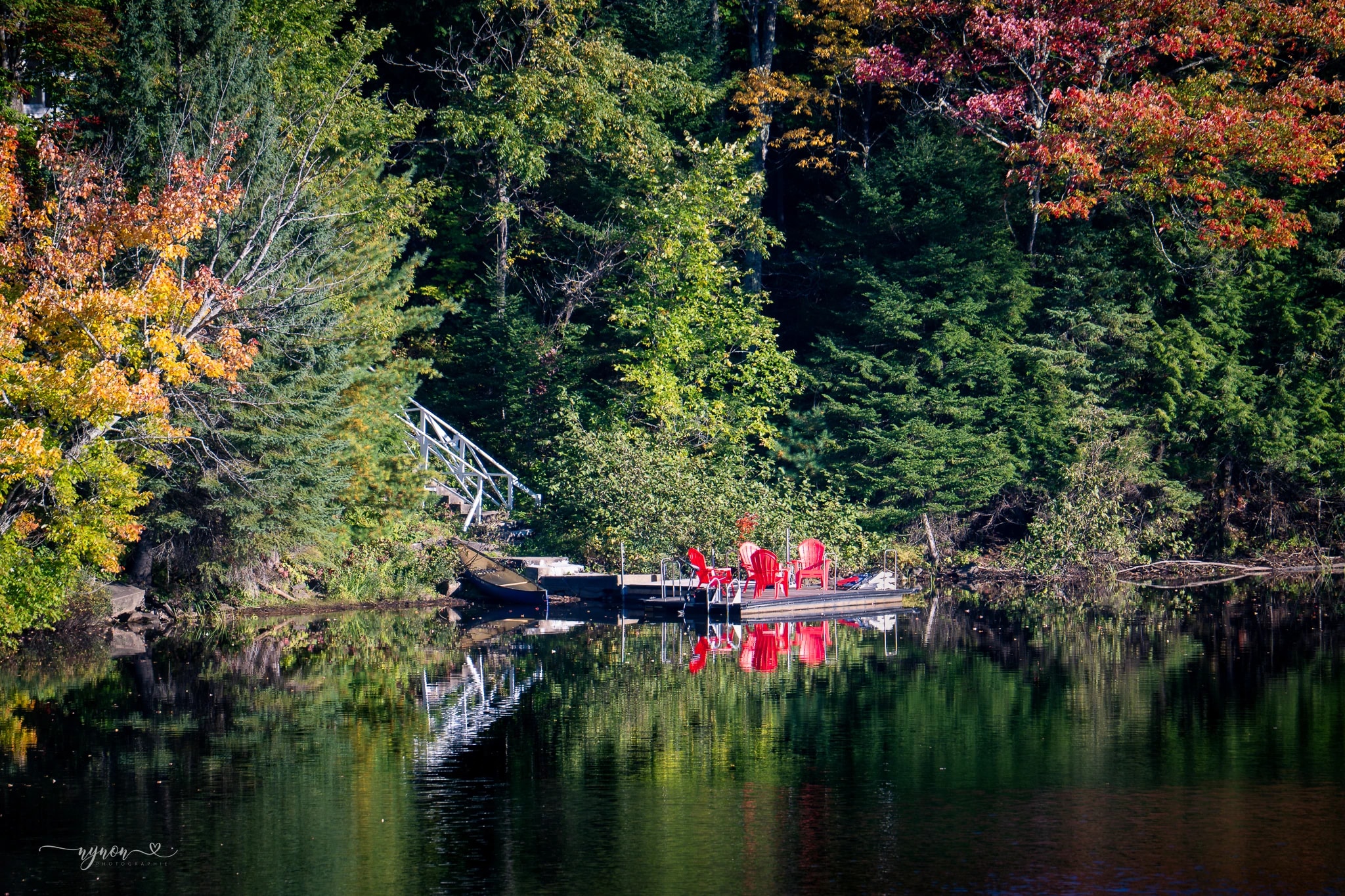 Autumn Forest Dock