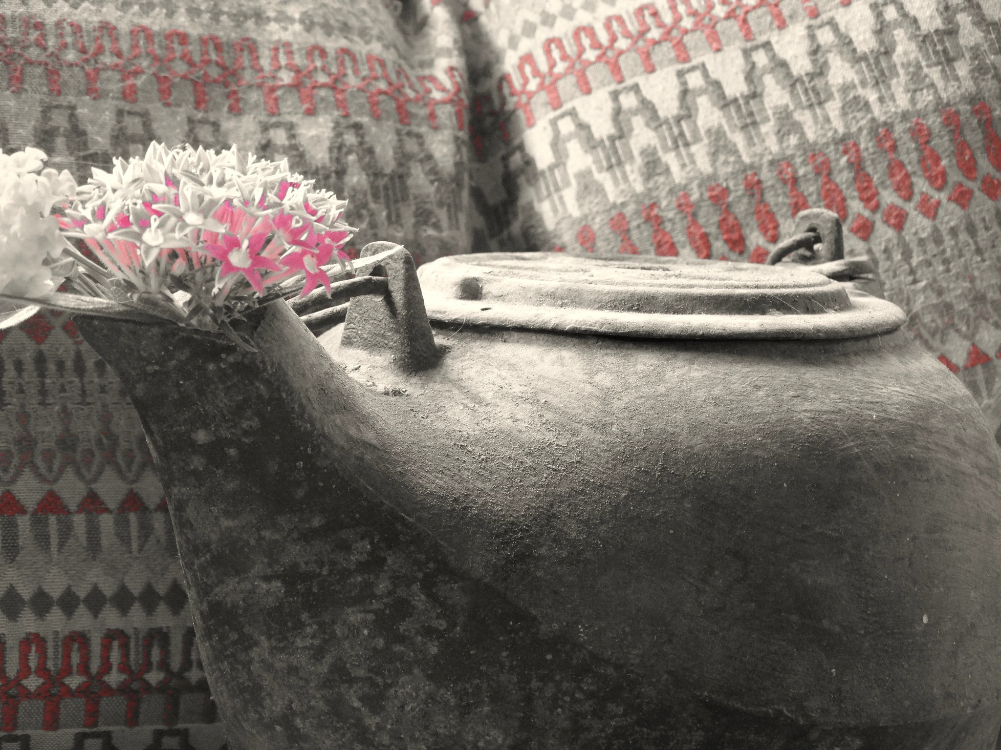 Pink Flowers in Clay Pot