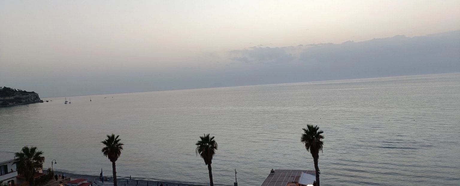 Palms by the Sea
