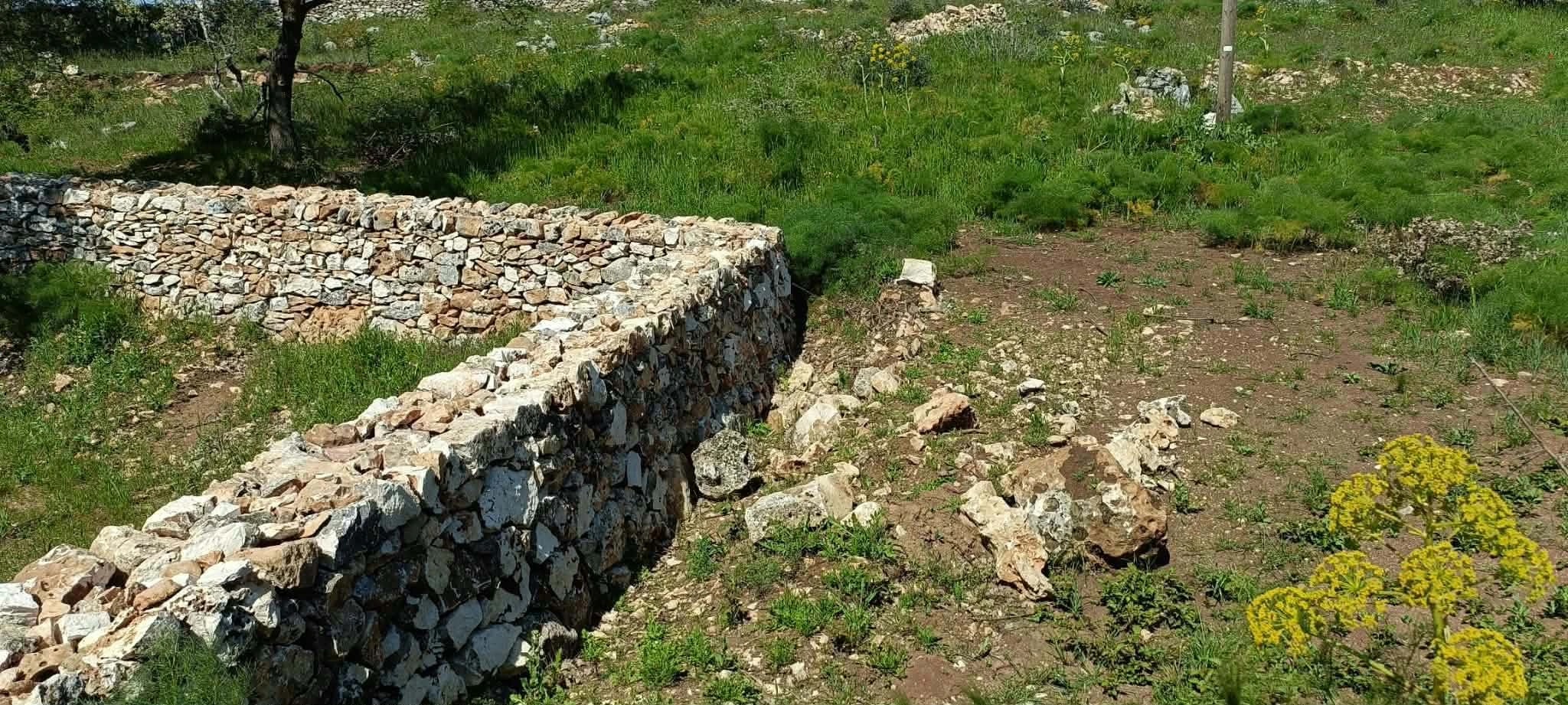 Stone Wall Meadow