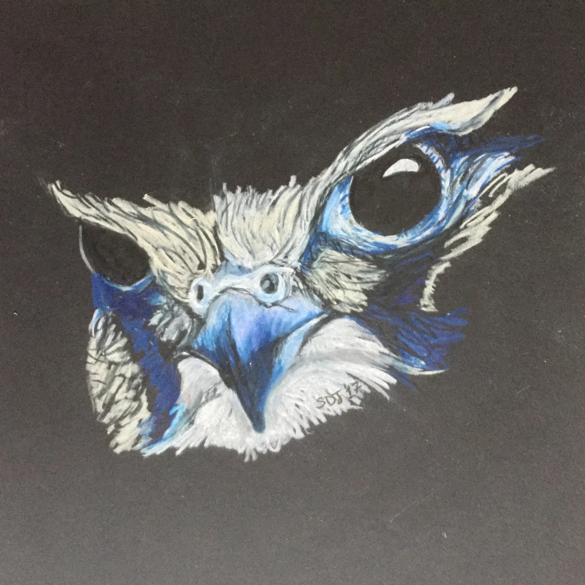 Blue-Eyed Owl