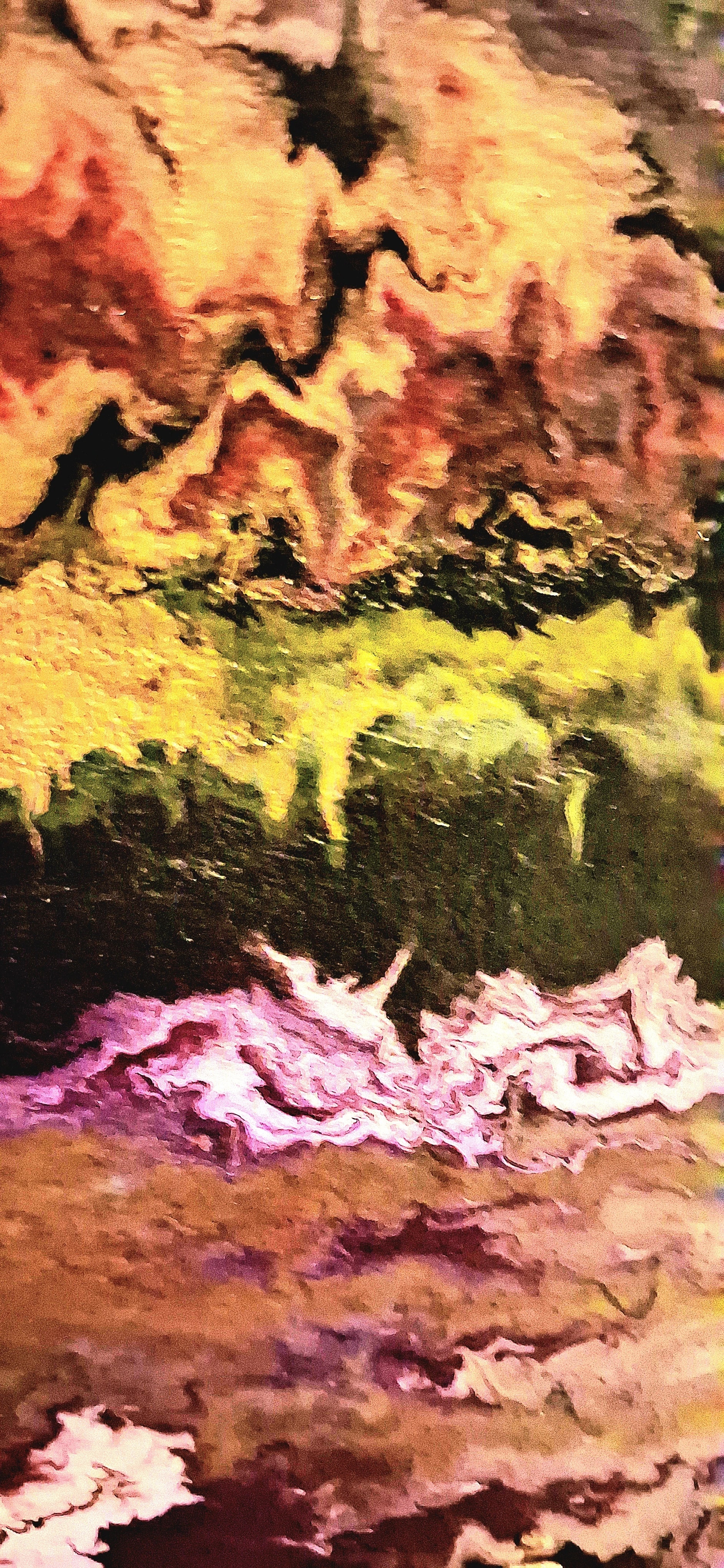 Painted Tidal Strata